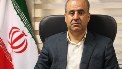 سید محمد جعفری
